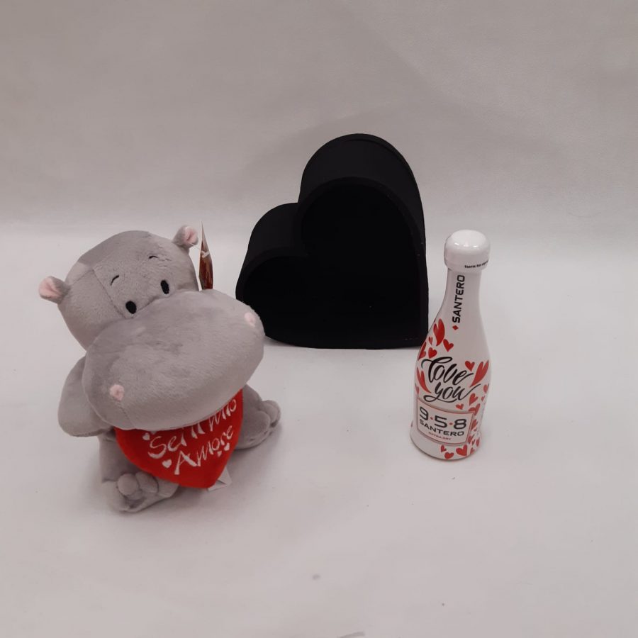 Regalo San Valentino con vasetto e baci santero e peluche